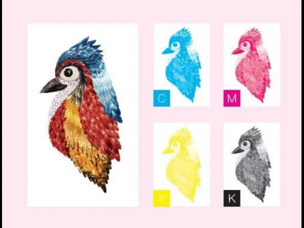 Six-color Printing and Four-color Printing