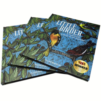 Professional High Quality Lift Flap Hardcover Magazine Children Book Printing with End Band
