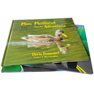 中国工厂精装餐厅菜单可定制景观实景照片精装婚礼书籍印刷